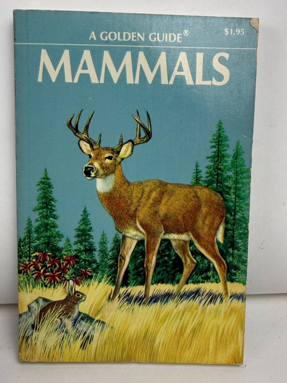 Vintage Mammals A Golden Guide Paperback Book Nature Wildlife Illustrated